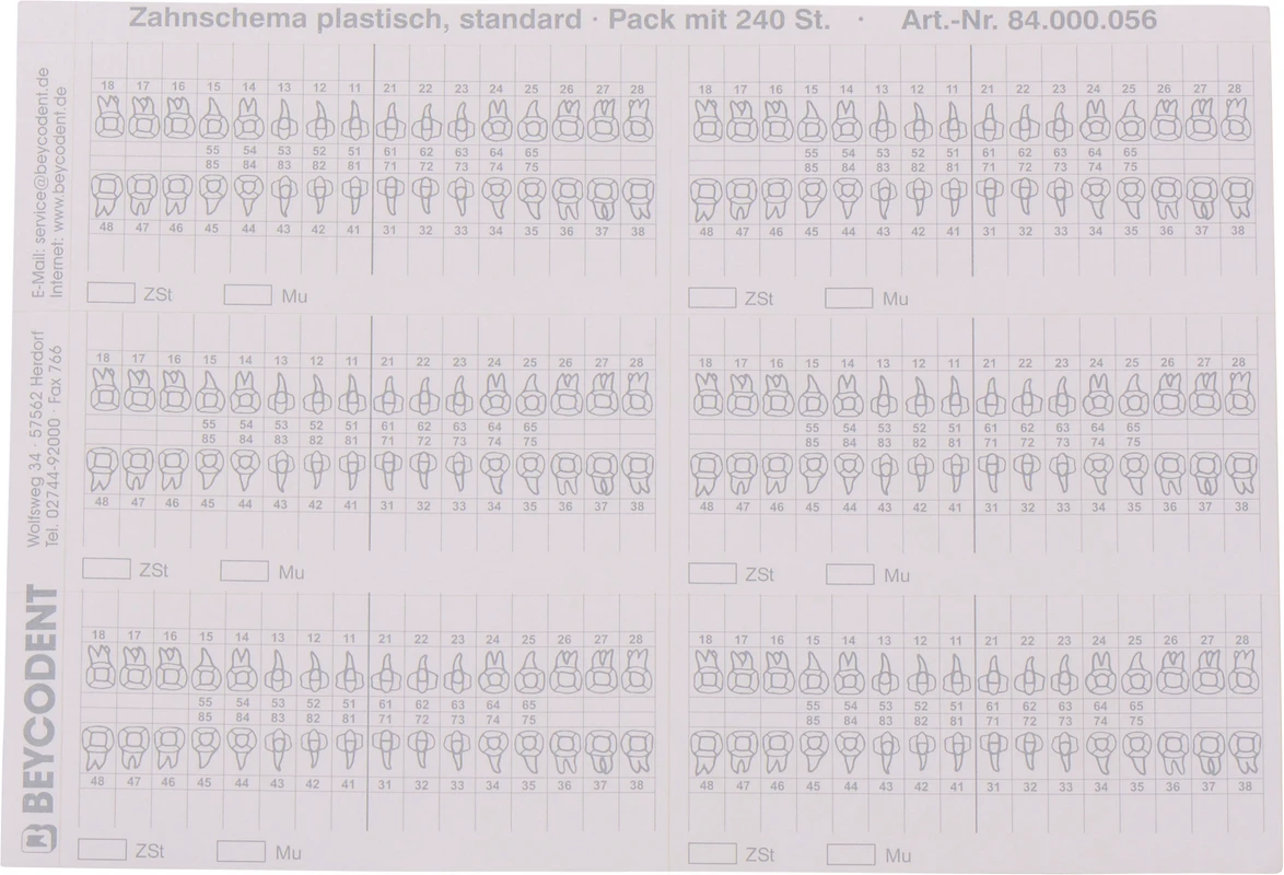 Zahnschema plastisch Packung 240 Stück 100 x 45 mm