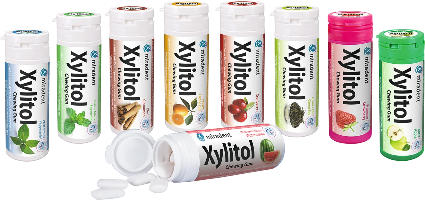 Xylitol Chewing Gum Display 12 x 30 Stück Wassermelone